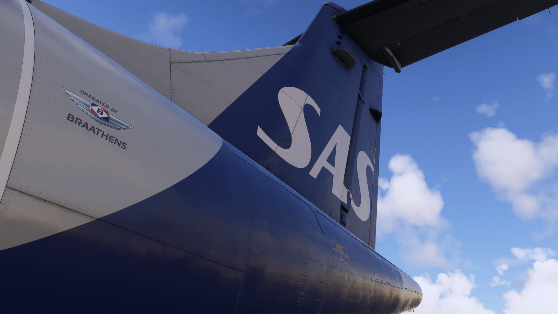 Close-up of a SAS ATR tail against a bright sky
